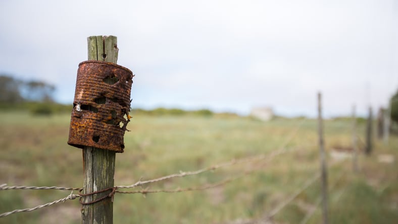 Common Shooting Targets: Steel, Paper & Bottles and Cans